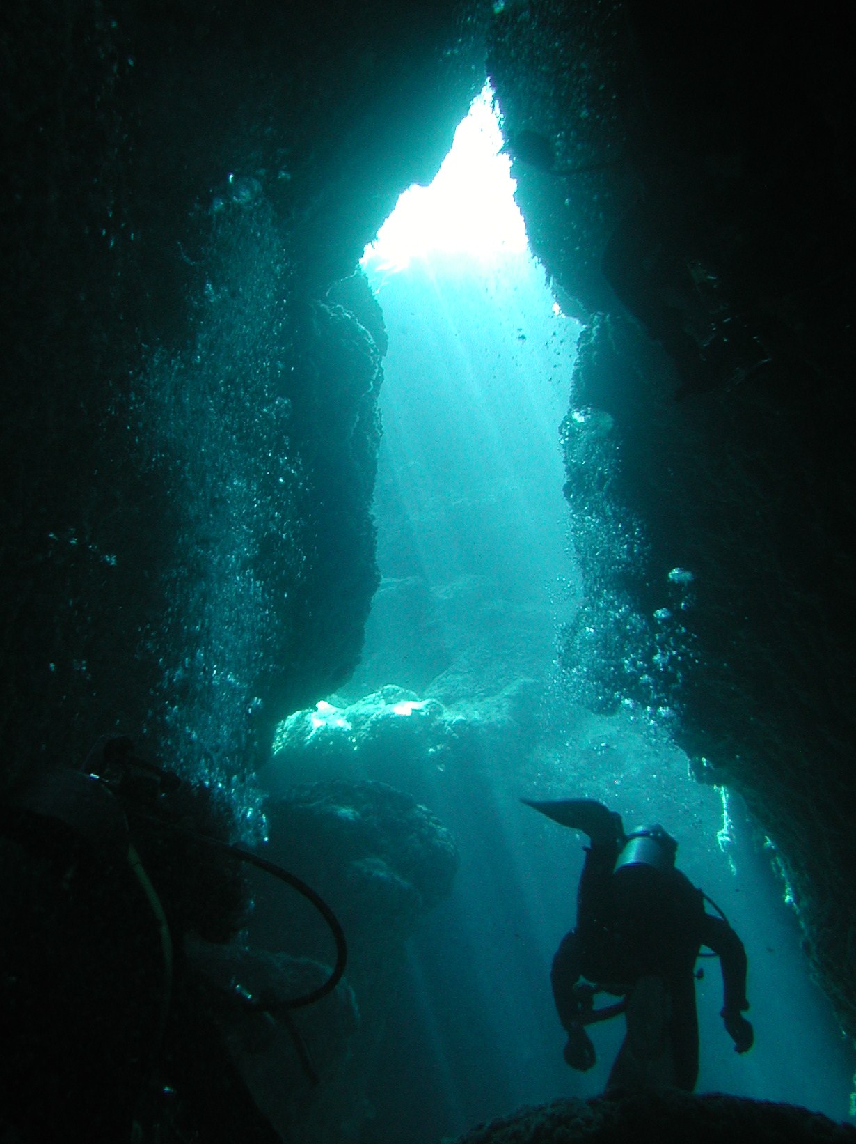 Dive-photo まとめ 分類